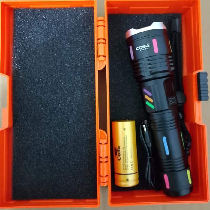 Torch Light Colour Body (1 Battery)